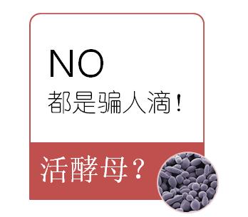 酵母提取物和酵母滤液的区别,酵母提取物是怎么提取的