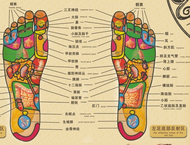 天天泡脚的好处与害处,天天泡脚的好处有哪些