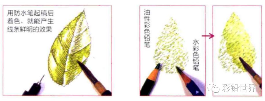 水溶性彩色铅笔怎么玩,初学者使用什么样的彩色铅笔