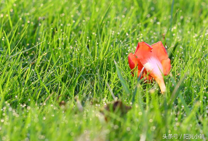 女人了解女人是什么意思,女人是怎么了解男人的