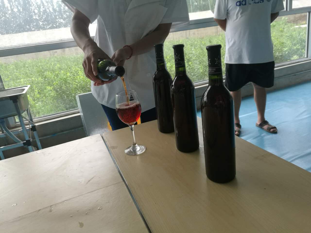 欧李是什么李子,欧李与普通李子的区别