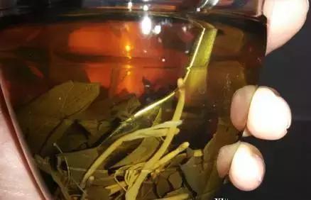 十种阳台中草药好养又实用,清热去火养肝的中草药