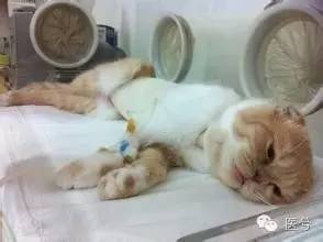 七夕，老司机这样飙车才不翻车