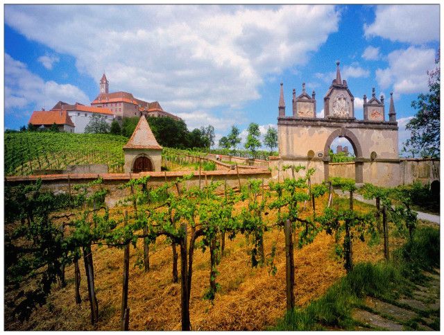 一带一路与中国丨捷克：丝绸之路经济带一个终端