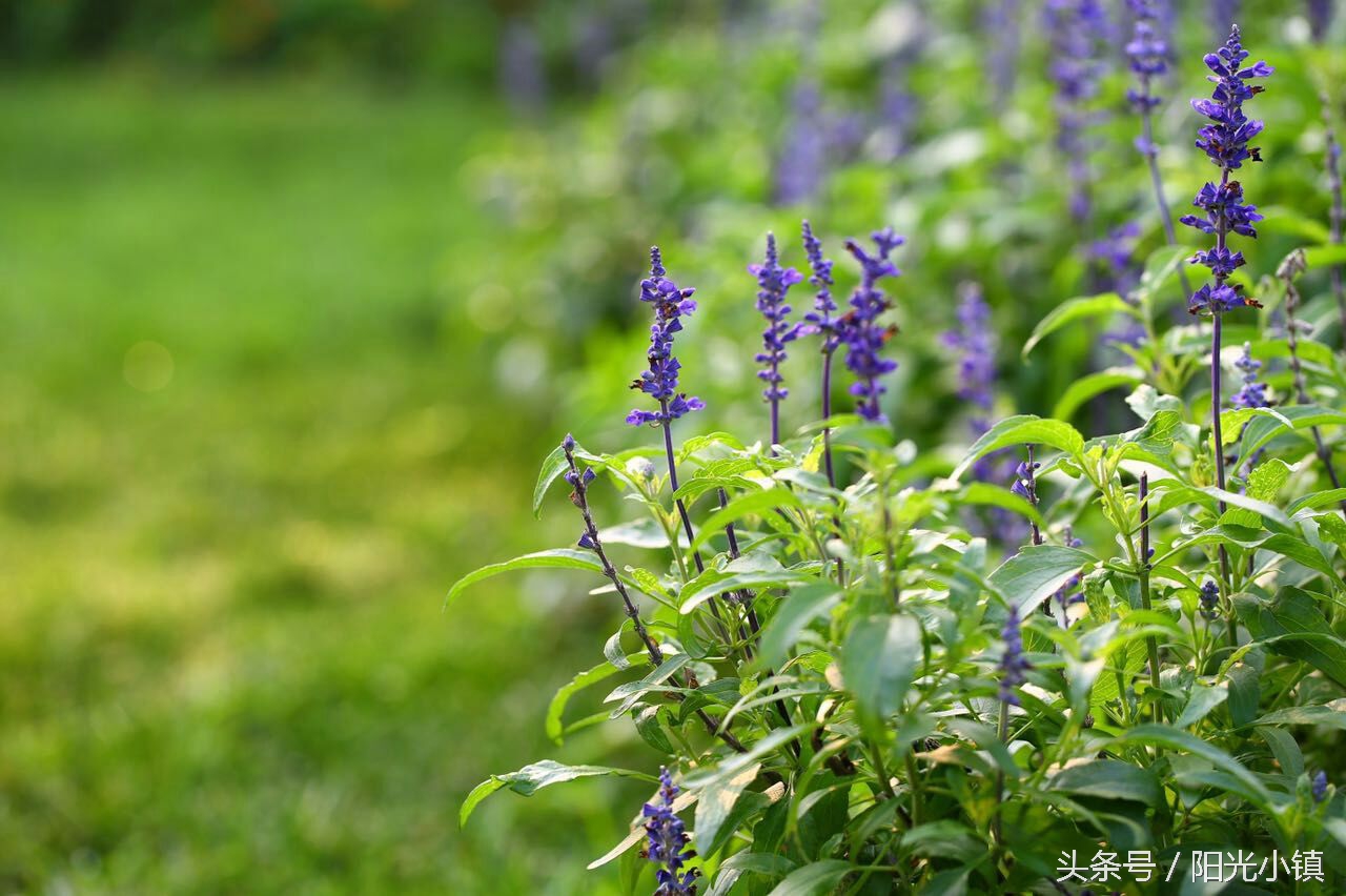 女人了解女人是什么意思,女人是怎么了解男人的