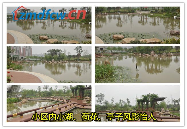 小丫看房记尚城银座完整版,小丫看房