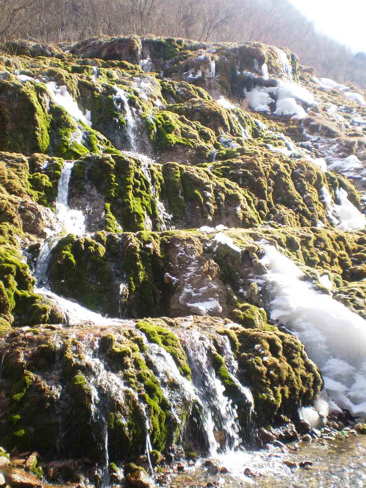 北山林场公园,北山森林植物园