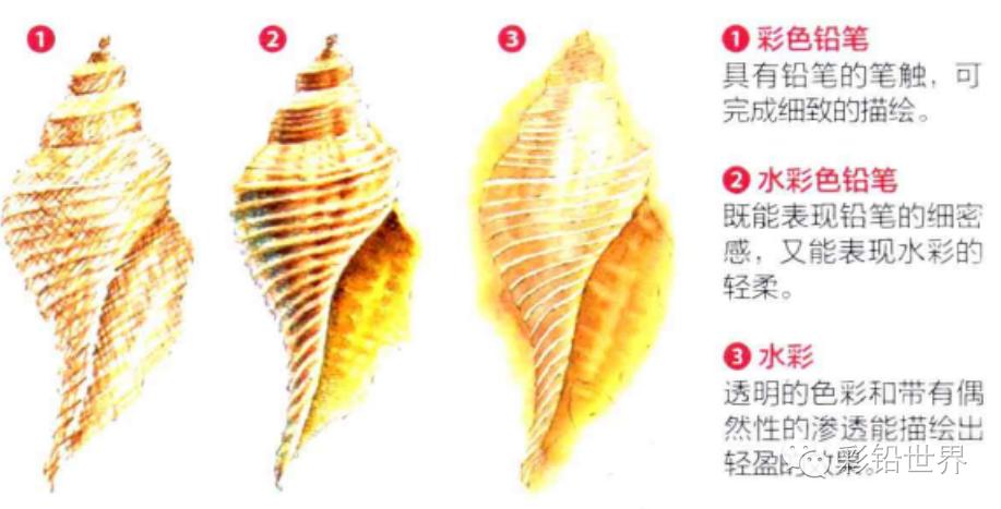 水溶性彩色铅笔怎么玩,初学者使用什么样的彩色铅笔