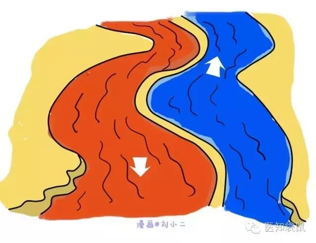 深度解析：普通B超、三维及四维彩超的区别