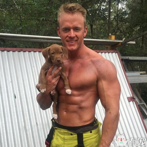 搜救犬看见防火员抱着小奶狗 (防火员训练发现小奶狗)