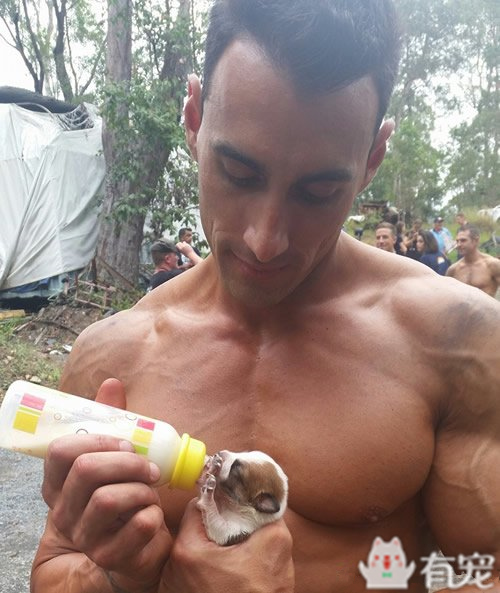 搜救犬看见防火员抱着小奶狗 (防火员训练发现小奶狗)