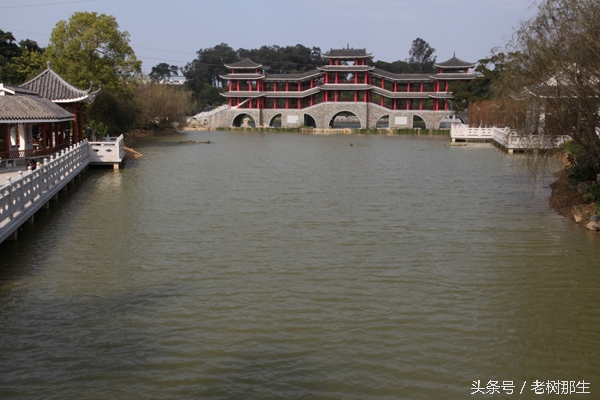 广西南宁狮山公园图,南宁狮山公园景观改造