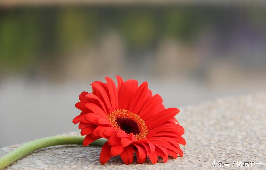 28岁得了宫颈癌,28岁得宫颈癌的几率大吗