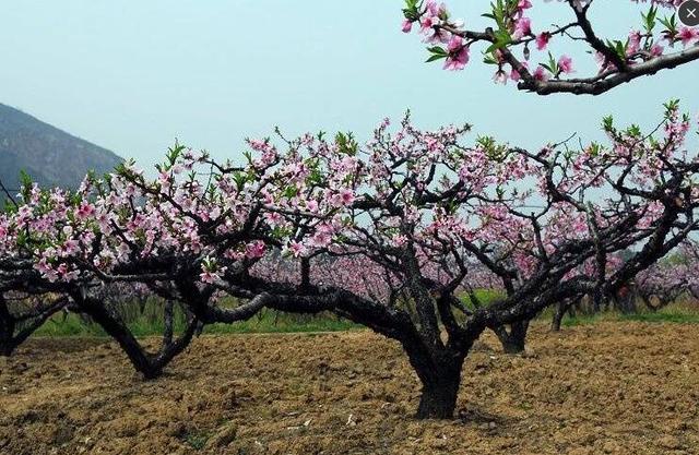 南京栖霞山周边农家乐,南京周边农家乐钓鱼的地方