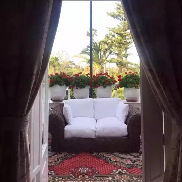 三毛撒哈拉的经典语录,三毛撒哈拉经典语录