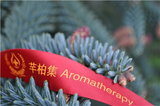 芳香疗法薰衣草精油,薰衣草精油芳香疗法
