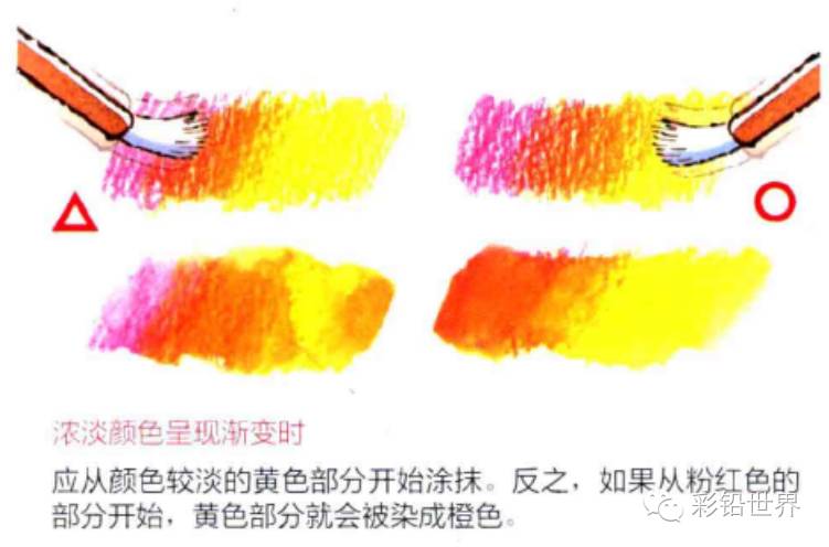 水溶性彩色铅笔怎么玩,初学者使用什么样的彩色铅笔