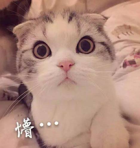 好好说话不要搞心态,好好说话别让人笑