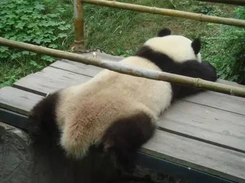 和中国的“救命仙丹”比起来，这些国家的防中暑高招都弱爆了！