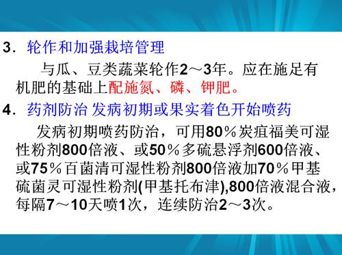 防治朝天椒炭疽病,辣椒炭疽病属于真菌还是细菌