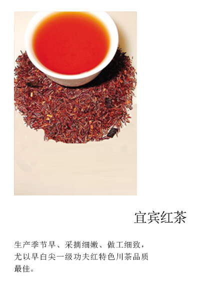 四川美食推荐攻略探店,四川美食自驾游攻略视频