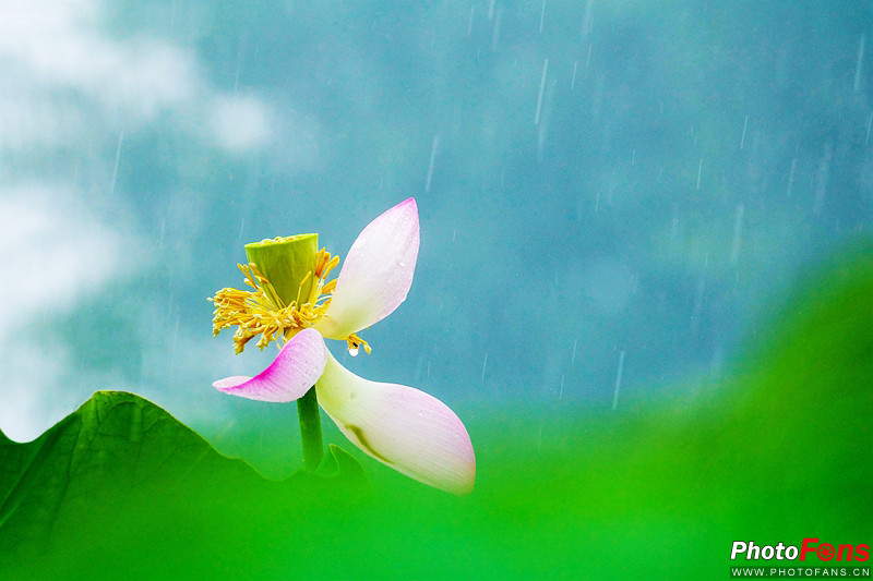 索尼黑卡长焦rx10m4技术参数,索尼超长焦黑卡rx10iii