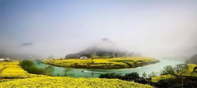 阿里山的姑娘邓禹平,阿里山的姑娘邓禹平结婚了吗