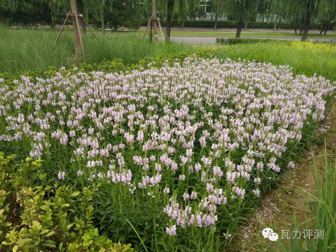 360手机n4s能刷什么系统,360n4s骁龙手机评测