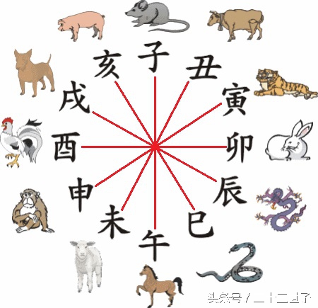 生肖相配是迷信吗,生肖针对婚配有影响吗