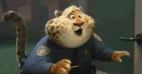 泸州老窖达人直播,泸州老窖直招