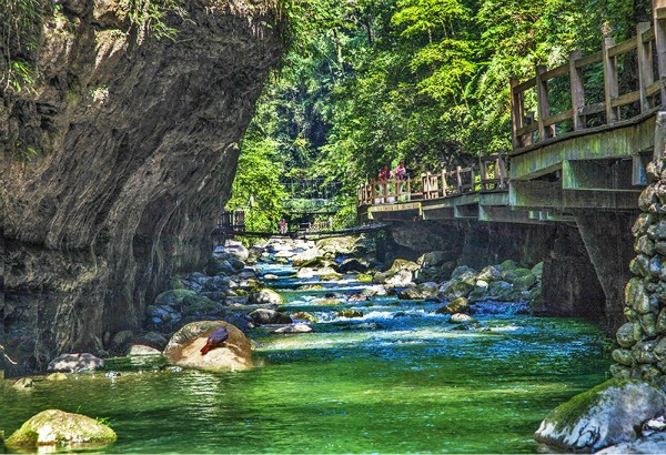 再有人喊热到爆，你就把这篇文章甩给TA！