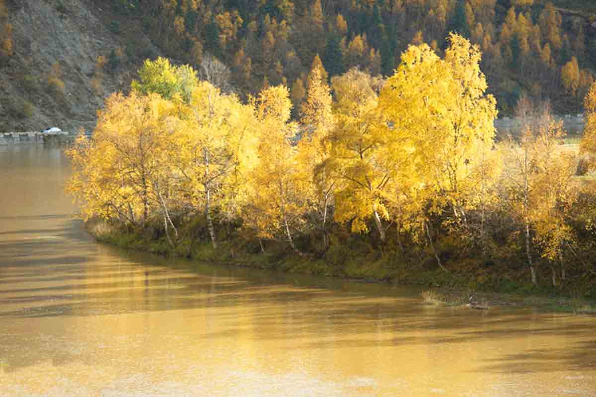 北山林场公园,北山森林植物园