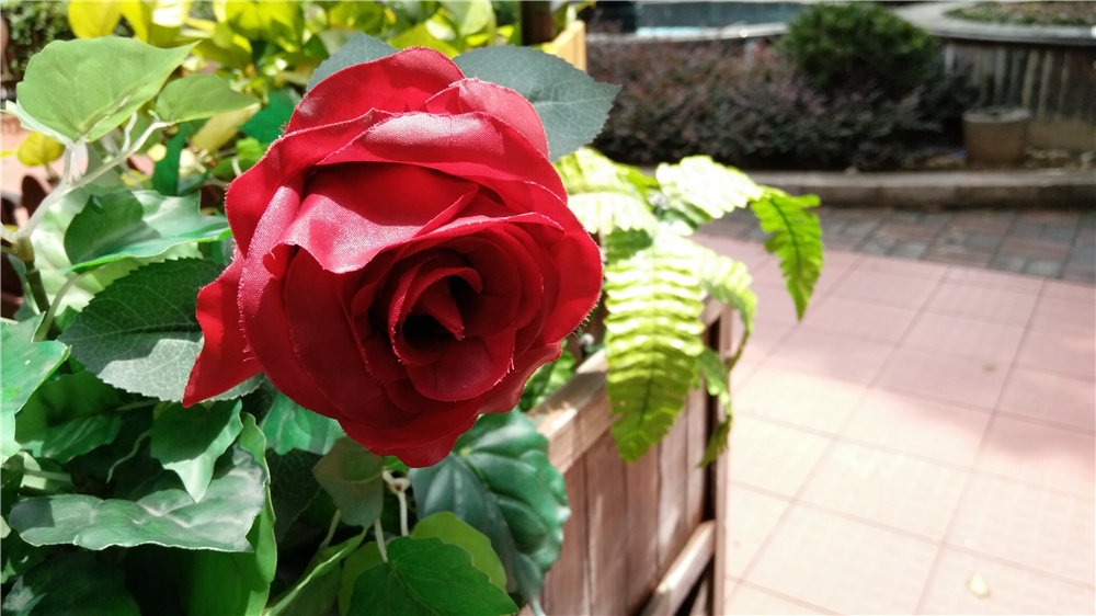 vivox70性能评测,vivox7最新评测视频