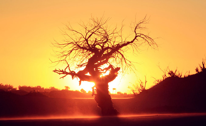 oppo手机拍照片怎么不显示位置了,oppoa91广角拍摄不清楚