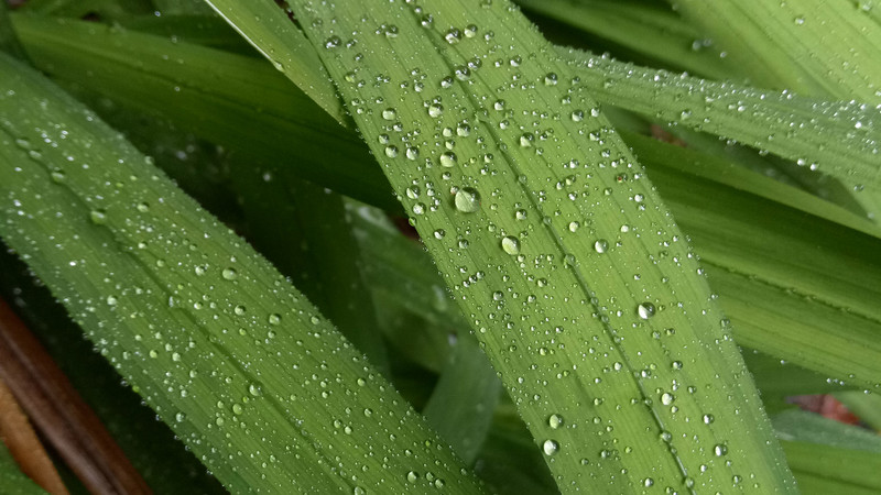 oppo手机拍照片怎么不显示位置了,oppoa91广角拍摄不清楚