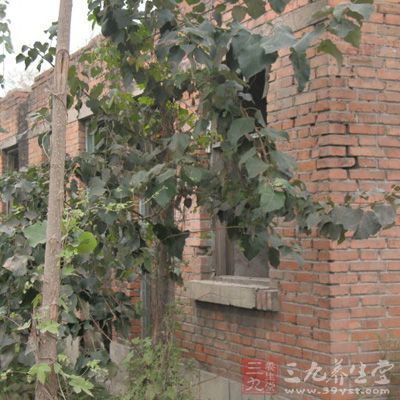 房子有邪气是真的吗,无人住的房子怎么有灰尘