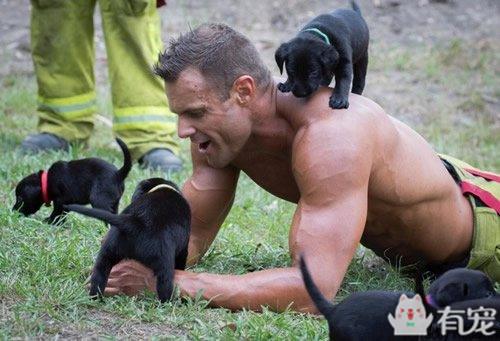 搜救犬看见防火员抱着小奶狗 (防火员训练发现小奶狗)