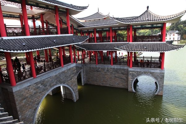 广西南宁狮山公园图,南宁狮山公园景观改造