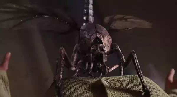 斯蒂芬金十大经典作品电影,斯蒂芬金电影合集