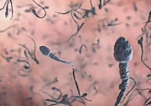 不容易怀孕的几个技巧,参考以下建议帮助提高受孕几率