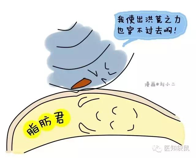 深度解析：普通B超、三维及四维彩超的区别