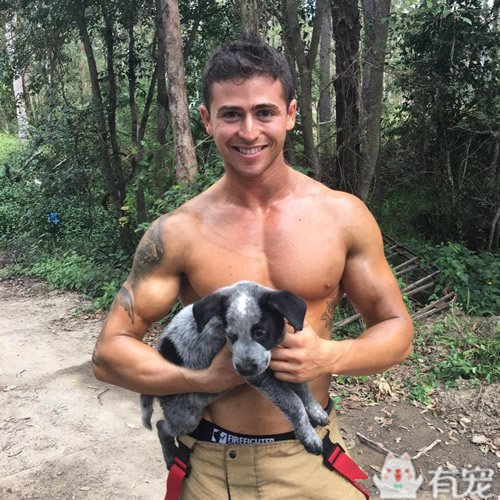 搜救犬看见防火员抱着小奶狗 (防火员训练发现小奶狗)