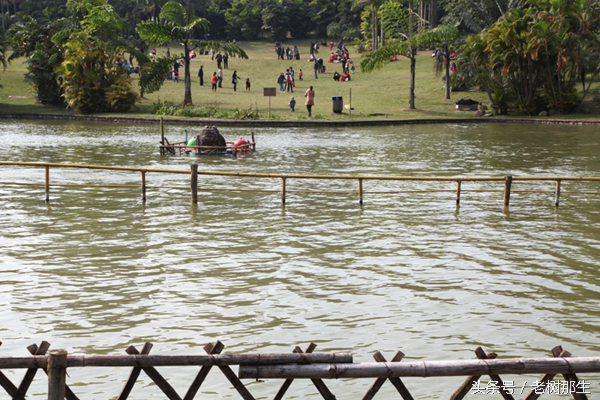 广西南宁狮山公园图,南宁狮山公园景观改造