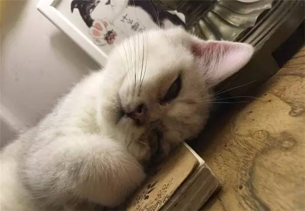 西安钟楼附近四星酒店推荐,西安钟楼附近高档饭店推荐