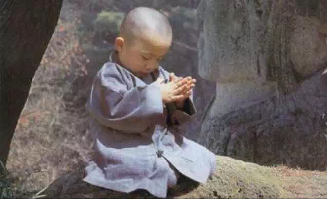 放生是伪善,刻意放生真的是行善吗