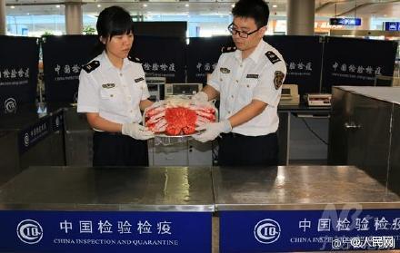 女子怀孕不知情生下宝宝一脸懵,女子怀孕12个月未生育下集