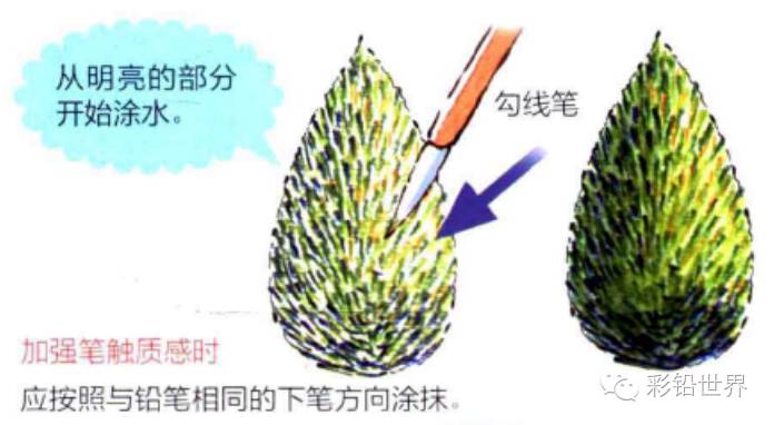 水溶性彩色铅笔怎么玩,初学者使用什么样的彩色铅笔