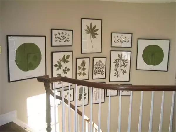 家里再穷也要丢掉的绿植,绿植盆栽都扔了