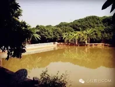 南宁西乡塘区周边农家乐大全,南宁陈家大院农家乐大全