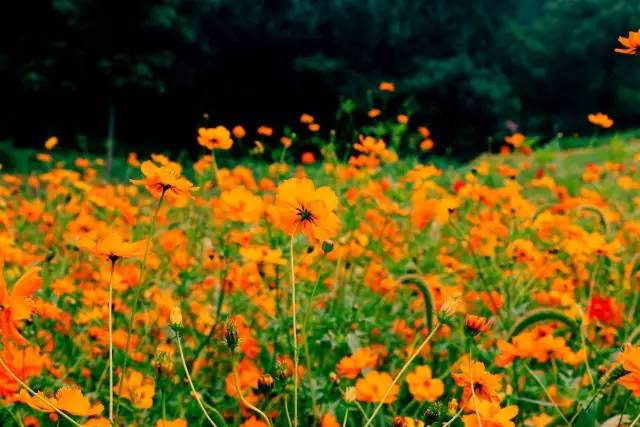 豫西大峡谷漂流价格,豫西大峡谷漂流团购